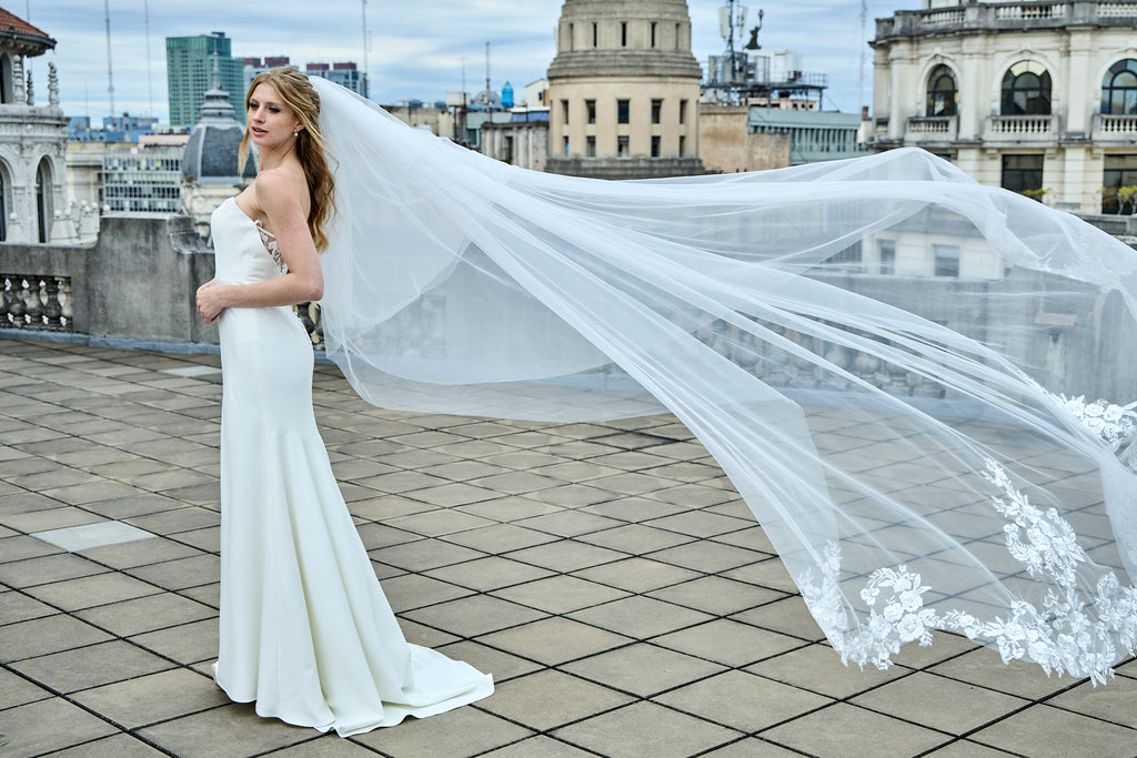 Vestido de Novia Ale